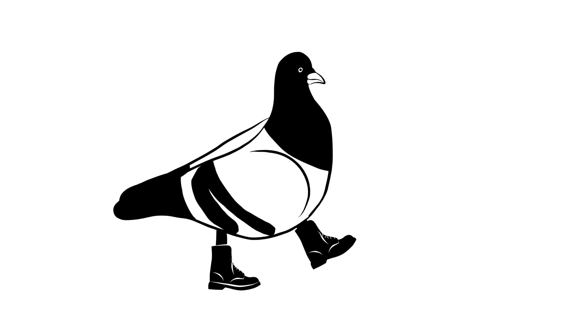 Pigeon walk cycle Pigeon walk cycle